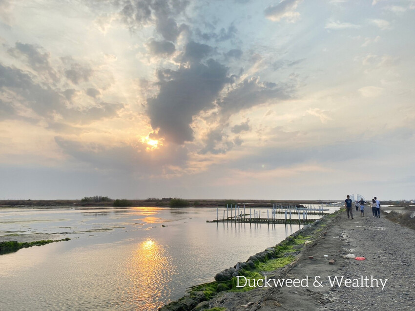 【台南將軍】青鯤鯓網美景點「生命之樹」|海上純白雙面扇形地景藝術|美拍取景角度介紹|