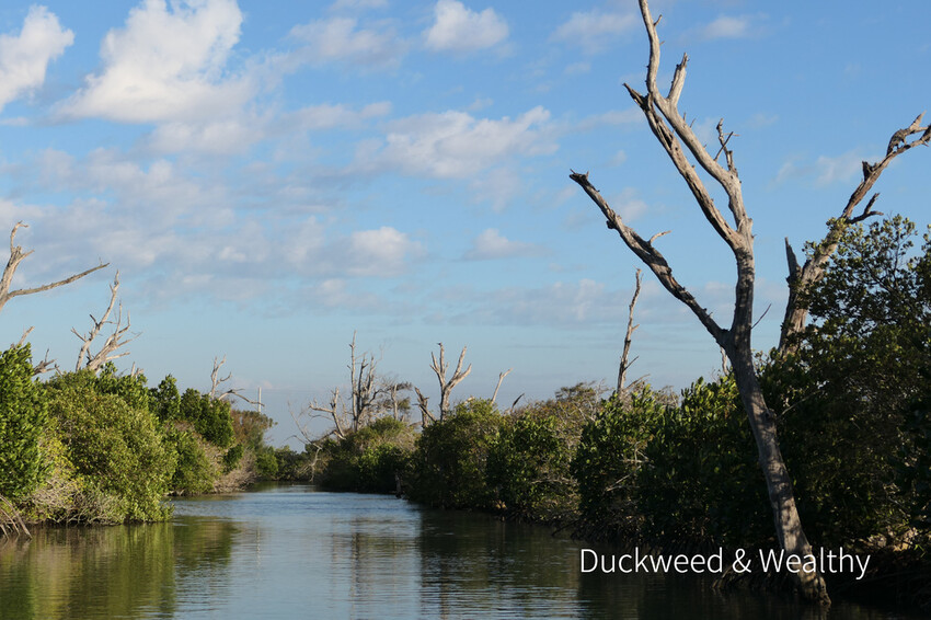 【台南北門景點】「雙春濱海遊憩區」質感景點推薦∣絕美紅樹林木棧步道∣湖邊風光沙灘踏浪∣所有享受一次滿足∣