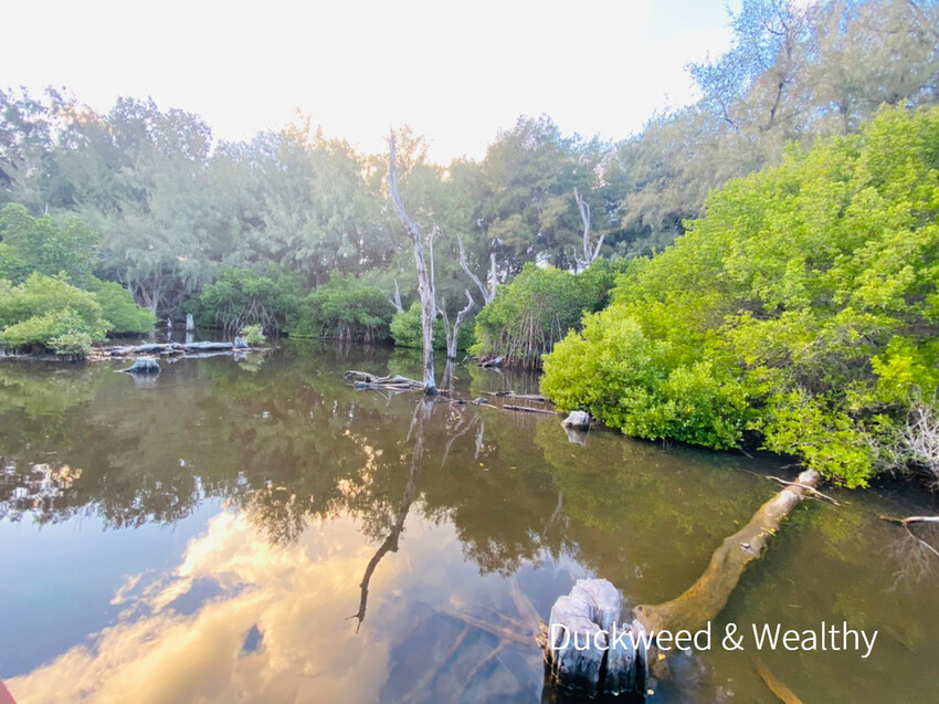 【台南北門景點】「雙春濱海遊憩區」質感景點推薦∣絕美紅樹林木棧步道∣湖邊風光沙灘踏浪∣所有享受一次滿足∣