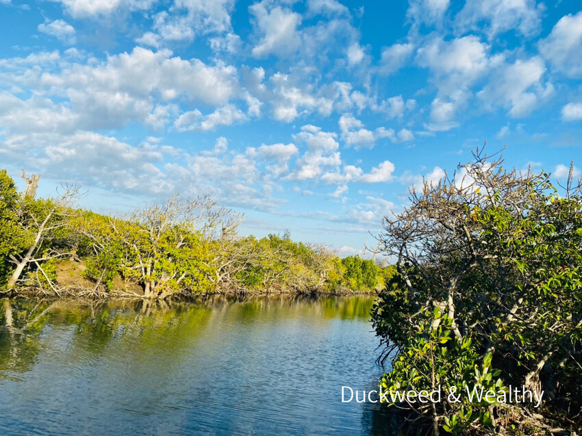 【台南北門景點】「雙春濱海遊憩區」質感景點推薦∣絕美紅樹林木棧步道∣湖邊風光沙灘踏浪∣所有享受一次滿足∣