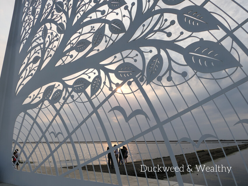 【台南將軍】青鯤鯓網美景點「生命之樹」|海上純白雙面扇形地景藝術|美拍取景角度介紹|