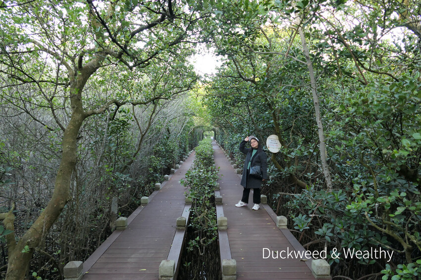 【台南北門景點】「雙春濱海遊憩區」質感景點推薦∣絕美紅樹林木棧步道∣湖邊風光沙灘踏浪∣所有享受一次滿足∣