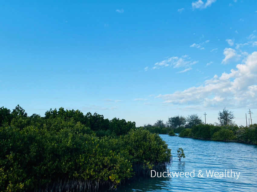 【台南北門景點】「雙春濱海遊憩區」質感景點推薦∣絕美紅樹林木棧步道∣湖邊風光沙灘踏浪∣所有享受一次滿足∣