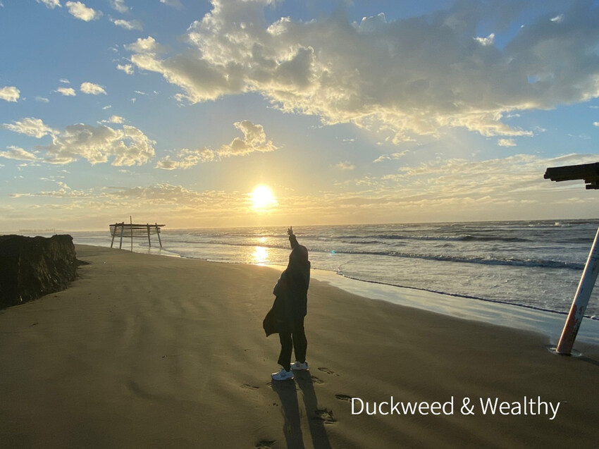 【台南北門景點】「雙春濱海遊憩區」質感景點推薦∣絕美紅樹林木棧步道∣湖邊風光沙灘踏浪∣所有享受一次滿足∣