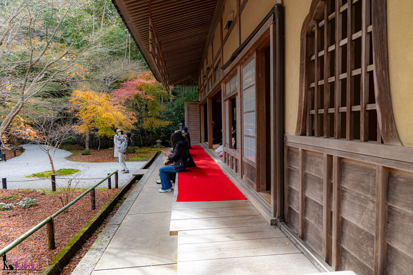 圓光寺|京都府日本–欣賞奔龍石庭的枯山水景色和十牛之庭的楓葉美景,庭園中的小地藏好可愛