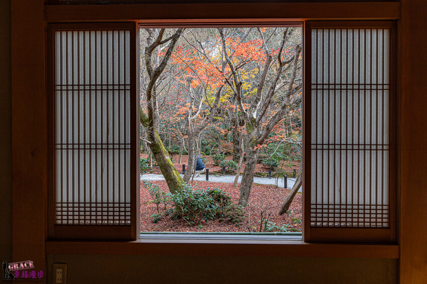 圓光寺|京都府日本–欣賞奔龍石庭的枯山水景色和十牛之庭的楓葉美景,庭園中的小地藏好可愛