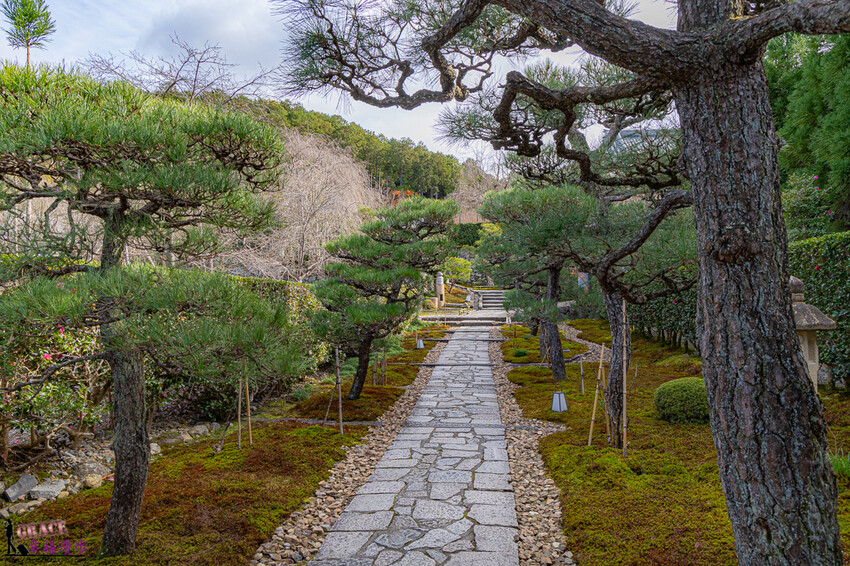 圓光寺|京都府日本–欣賞奔龍石庭的枯山水景色和十牛之庭的楓葉美景,庭園中的小地藏好可愛