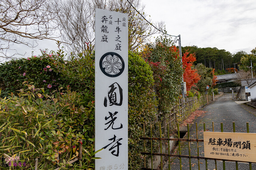 圓光寺|京都府日本–欣賞奔龍石庭的枯山水景色和十牛之庭的楓葉美景,庭園中的小地藏好可愛