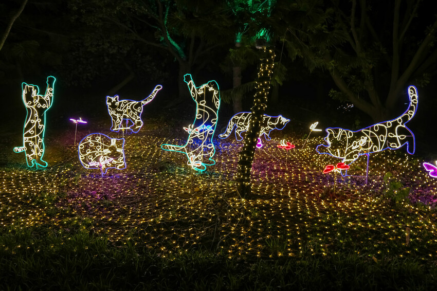 【桃園活動】2023桃園地景藝術節‧青埔展區│Mello Travels裝置藝術│活動時間2023/8/11~10/15│半日遊‧行程規