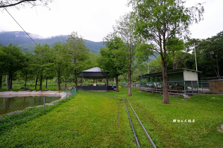 洄瀾灣休閒農場 ❙ 水豚君、狐獴、笑笑羊,還有小火車,花蓮洄 洄瀾灣休閒農場 ❙ 水豚君、狐獴、笑笑羊,還有小火車,花蓮洄