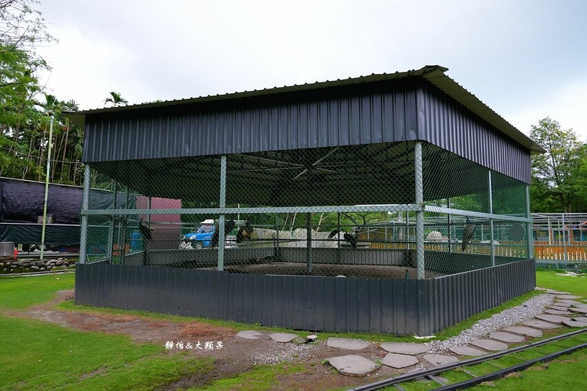 洄瀾灣休閒農場 ❙ 水豚君、狐獴、笑笑羊,還有小火車,花蓮洄 洄瀾灣休閒農場 ❙ 水豚君、狐獴、笑笑羊,還有小火車,花蓮洄