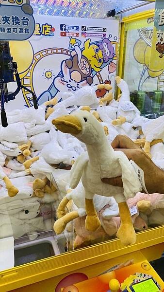 大IMG_6063.jpeg 大IMG_6063.jpeg