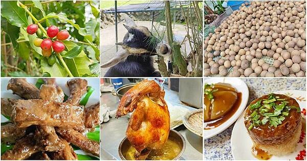 關子嶺親子一日遊｜關子嶺不止有烤雞和溫泉，更有好玩的農場以及咖啡料理、歷史老街哦