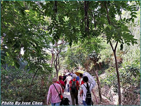《苗栗景點》遊覽車一日遊『功維敘隧道』 Ivenの窩-