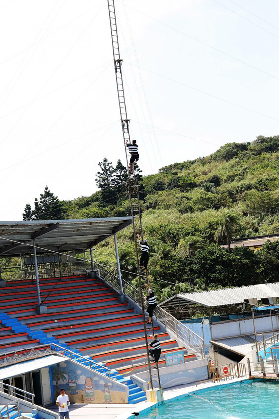 北海岸推薦親子景點，野柳海洋世界，海豚、海獅、高空跳水表演，