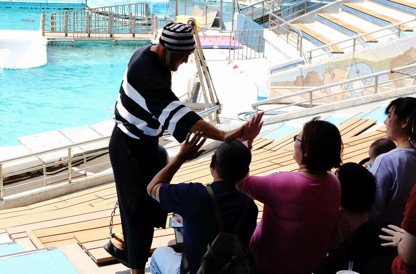 北海岸推薦親子景點，野柳海洋世界，海豚、海獅、高空跳水表演，