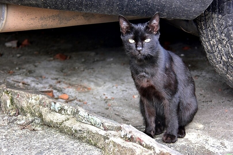 揭開基隆【暖暖】的神秘面紗:基隆河與山巒環繞,自然景觀與在地風情迷人的小鎮