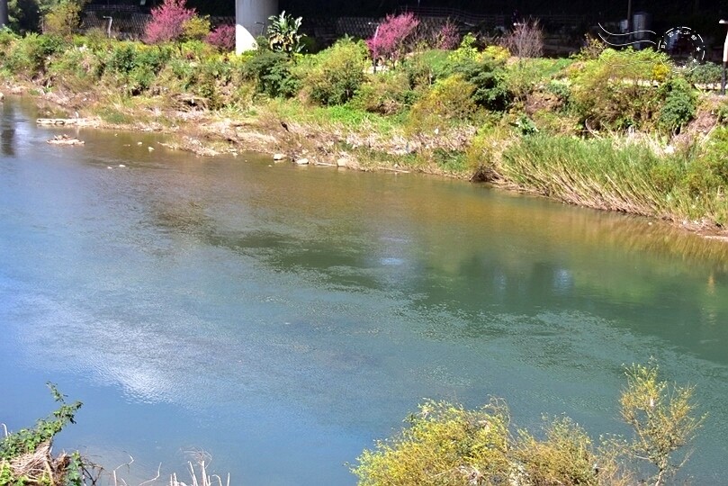 揭開基隆【暖暖】的神秘面紗:基隆河與山巒環繞,自然景觀與在地風情迷人的小鎮