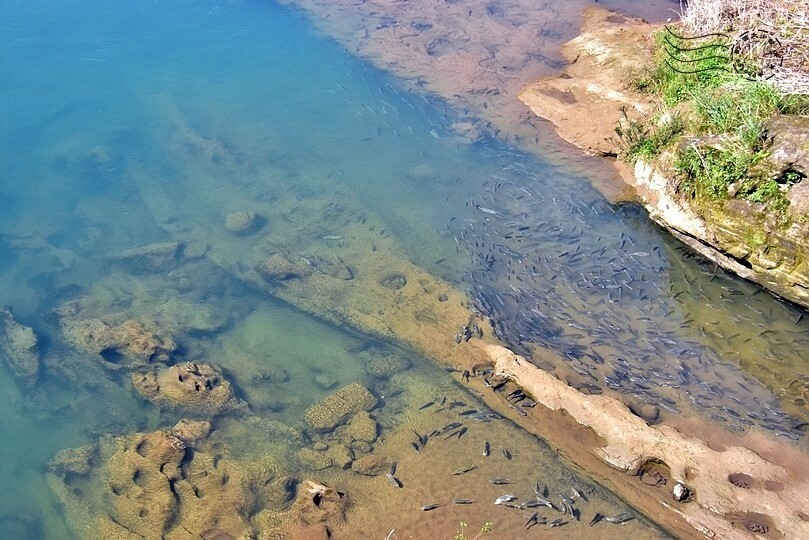 揭開基隆【暖暖】的神秘面紗:基隆河與山巒環繞,自然景觀與在地風情迷人的小鎮