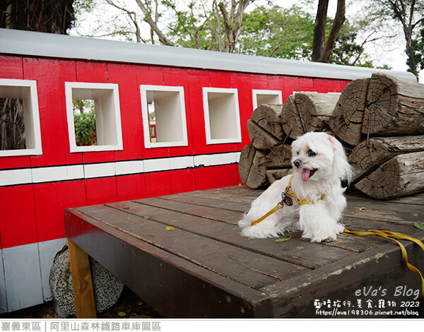 阿里山森林鐵路車庫園區-04.jpg