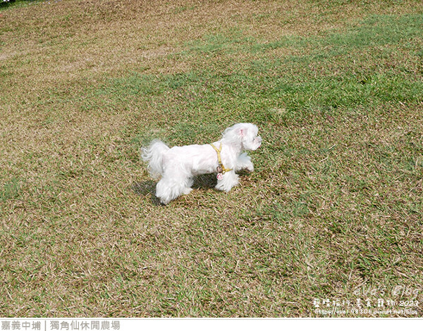 獨角仙休閒農場-25.jpg
