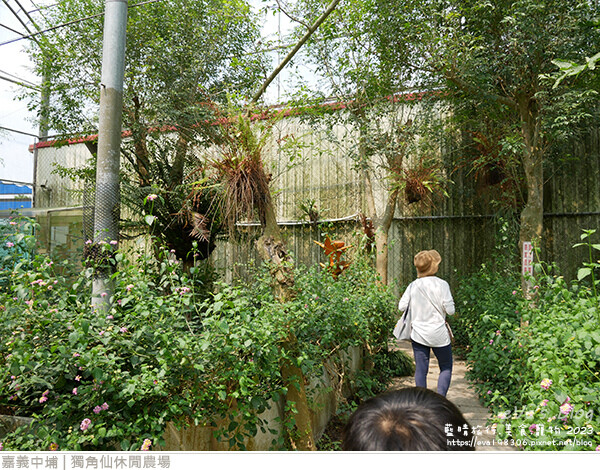 獨角仙休閒農場-68.jpg