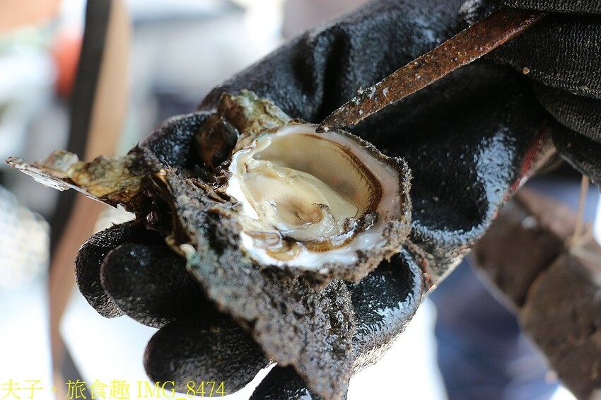 台江漁樂園 大員港生態遊船 賞鳥 捕魚體驗 認識紅樹林植物