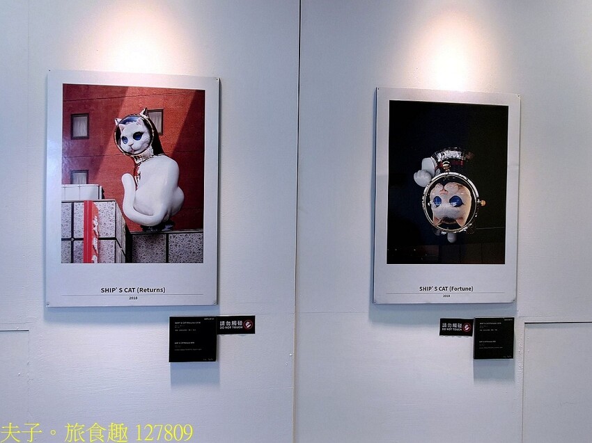 看海美術館 船仔貓屏東展 一個充滿奇幻色彩和療癒能量的異想世