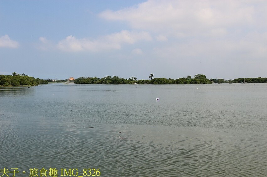 台江漁樂園 大員港生態遊船 賞鳥 捕魚體驗 認識紅樹林植物