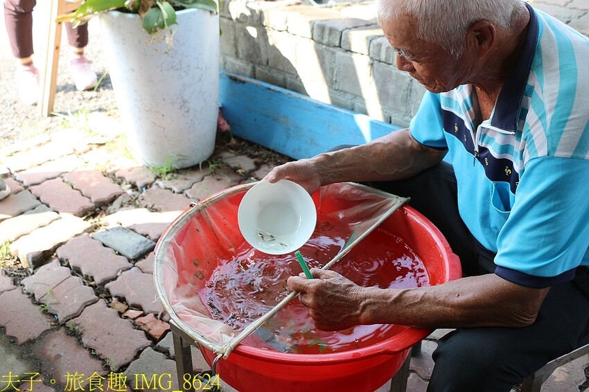 媽祖宮九塊厝生態園區 青蛙裝漁夫體驗 X 虱目魚美味饗宴 X