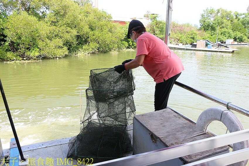 台江漁樂園 大員港生態遊船 賞鳥 捕魚體驗 認識紅樹林植物