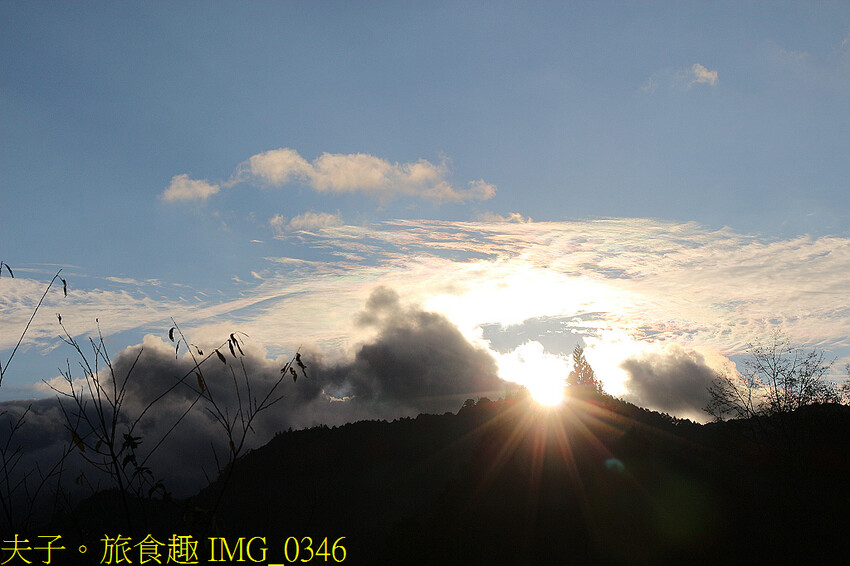 阿里山 特富野古道 拜訪鹿林神木 自忠登山口觀景台 看日出