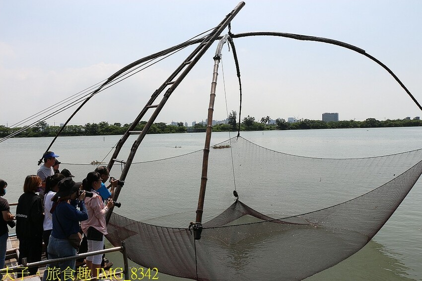 台江漁樂園 大員港生態遊船 賞鳥 捕魚體驗 認識紅樹林植物