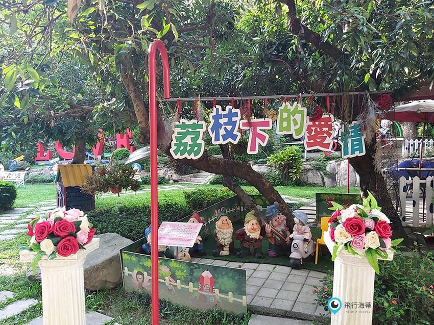 近距離接觸！小朋友超愛的可愛小動物 草泥馬 天竺鼠 小兔子 還有浪漫場景超好拍