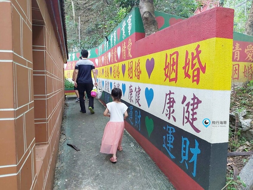 近距離接觸！小朋友超愛的可愛小動物 草泥馬 天竺鼠 小兔子 還有浪漫場景超好拍