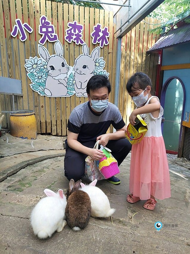 近距離接觸！小朋友超愛的可愛小動物 草泥馬 天竺鼠 小兔子 還有浪漫場景超好拍