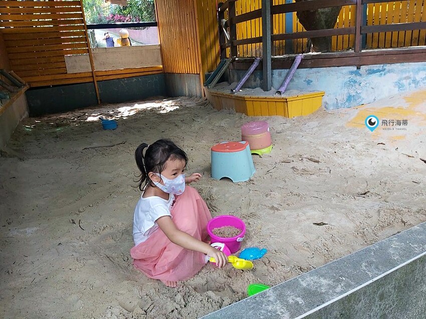 近距離接觸！小朋友超愛的可愛小動物 草泥馬 天竺鼠 小兔子 還有浪漫場景超好拍