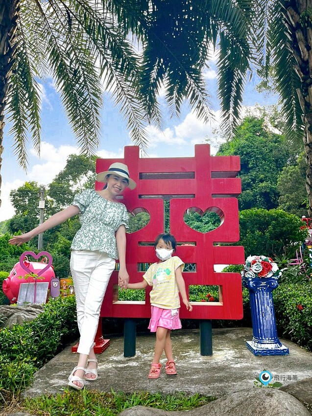 近距離接觸！小朋友超愛的可愛小動物 草泥馬 天竺鼠 小兔子 還有浪漫場景超好拍