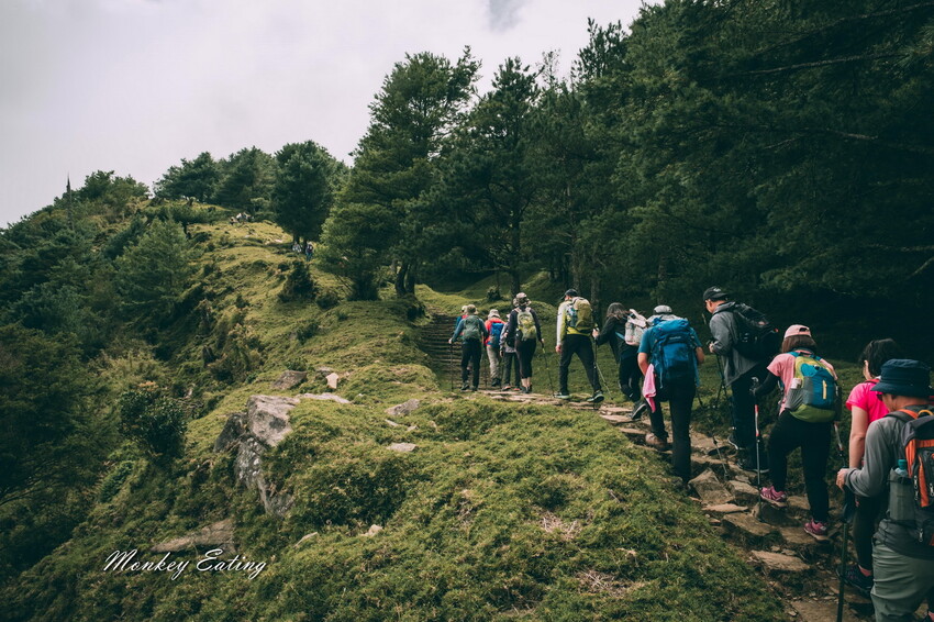 【南投景點】麟趾山-鹿林山-鹿林前山O型縱走，塔塔加健行一日遊，免申請眺望玉山群峰！ - 貪吃猴的幻想