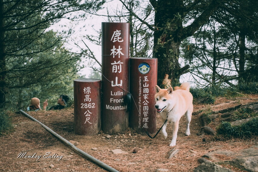 【南投景點】麟趾山-鹿林山-鹿林前山O型縱走，塔塔加健行一日遊，免申請眺望玉山群峰！ - 貪吃猴的幻想