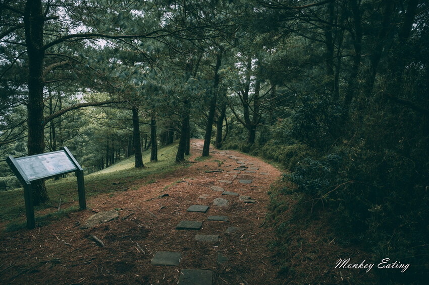 【南投景點】麟趾山-鹿林山-鹿林前山O型縱走，塔塔加健行一日遊，免申請眺望玉山群峰！ - 貪吃猴的幻想