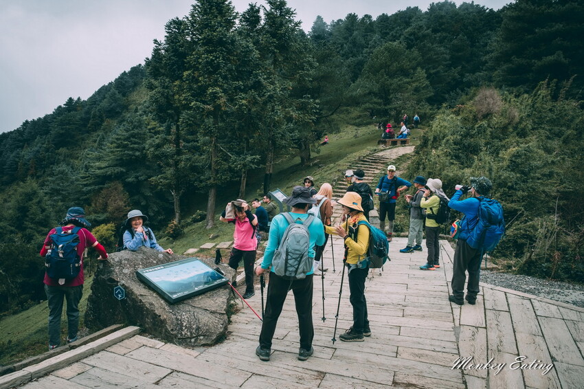 【南投景點】麟趾山-鹿林山-鹿林前山O型縱走，塔塔加健行一日遊，免申請眺望玉山群峰！ - 貪吃猴的幻想