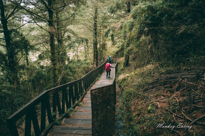【南投景點】麟趾山-鹿林山-鹿林前山O型縱走，塔塔加健行一日遊，免申請眺望玉山群峰！ - 貪吃猴的幻想