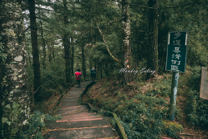 【南投景點】麟趾山-鹿林山-鹿林前山O型縱走，塔塔加健行一日遊，免申請眺望玉山群峰！ - 貪吃猴的幻想