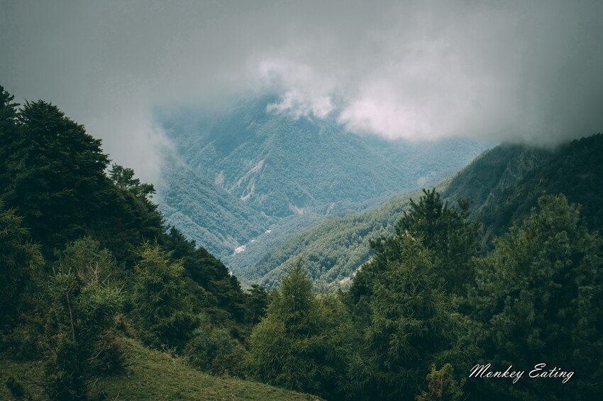 【南投景點】麟趾山-鹿林山-鹿林前山O型縱走，塔塔加健行一日遊，免申請眺望玉山群峰！ - 貪吃猴的幻想
