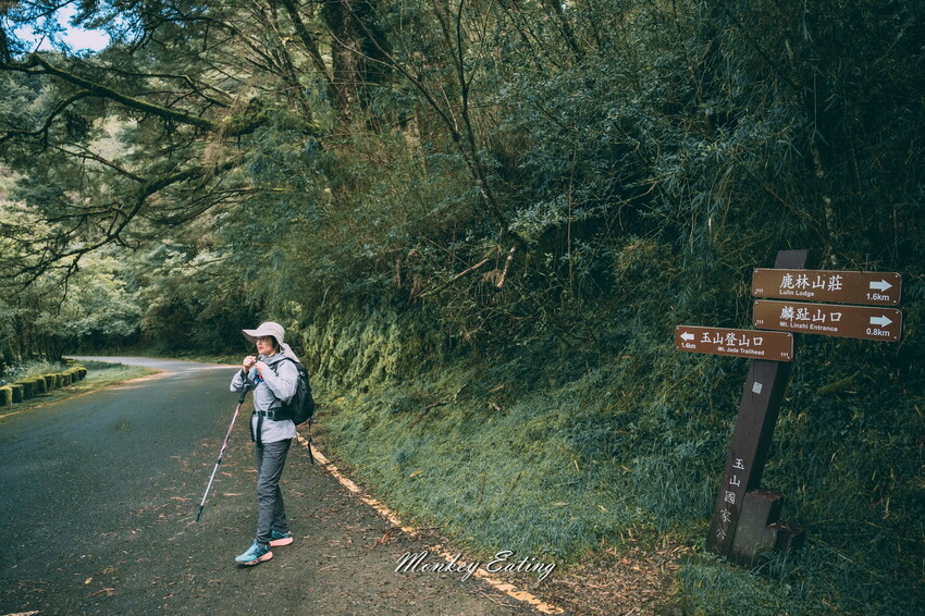【南投景點】麟趾山-鹿林山-鹿林前山O型縱走，塔塔加健行一日遊，免申請眺望玉山群峰！ - 貪吃猴的幻想
