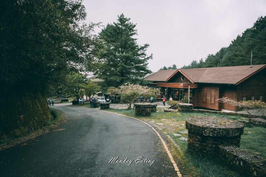 【南投景點】麟趾山-鹿林山-鹿林前山O型縱走，塔塔加健行一日遊，免申請眺望玉山群峰！ - 貪吃猴的幻想