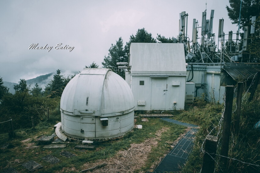 【南投景點】麟趾山-鹿林山-鹿林前山O型縱走，塔塔加健行一日遊，免申請眺望玉山群峰！ - 貪吃猴的幻想