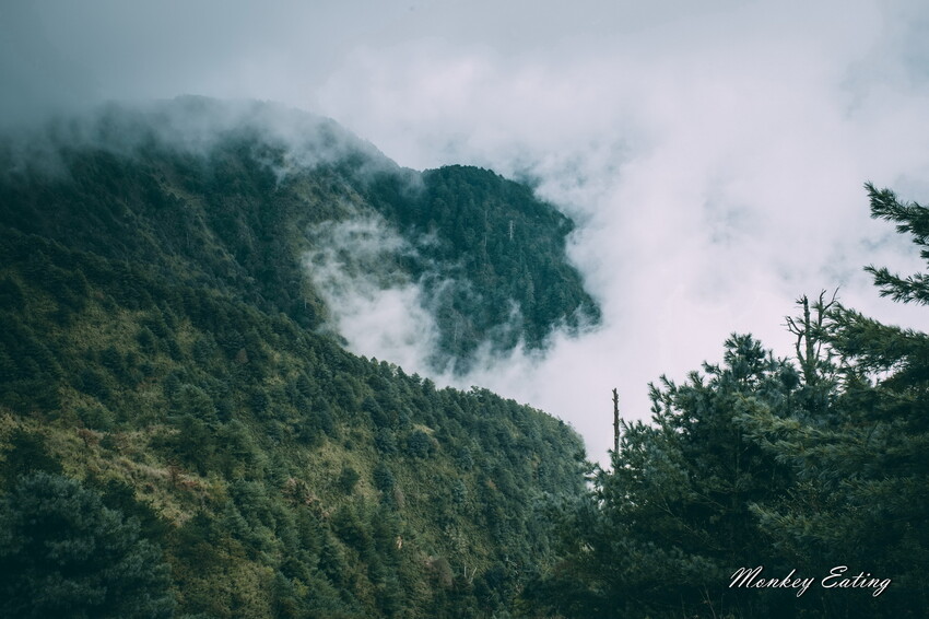 【南投景點】麟趾山-鹿林山-鹿林前山O型縱走，塔塔加健行一日遊，免申請眺望玉山群峰！ - 貪吃猴的幻想