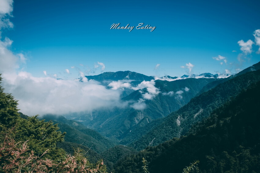 【南投景點】麟趾山-鹿林山-鹿林前山O型縱走，塔塔加健行一日遊，免申請眺望玉山群峰！ - 貪吃猴的幻想